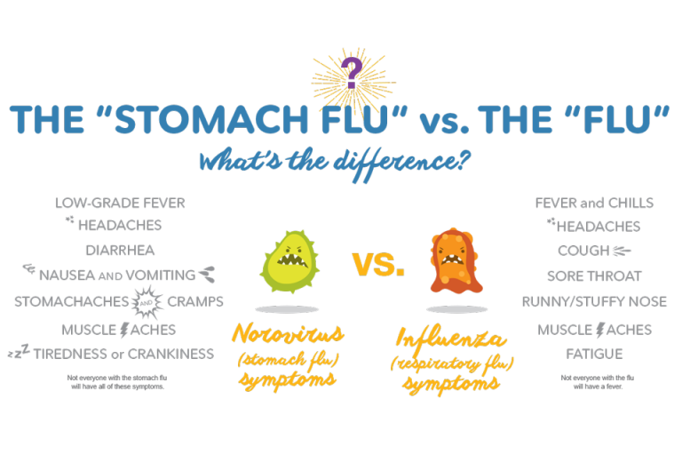 Stomach Flu vs Food Poisoning – Health One Labs