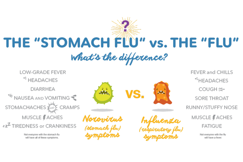 Stomach Flu vs Food Poisoning Health One Labs