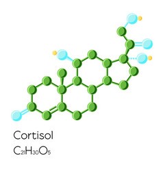 What Is Cortisol? – Health One Labs